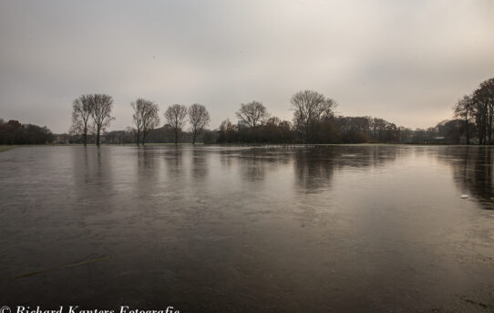 Schaatsen in het Zuiderpark